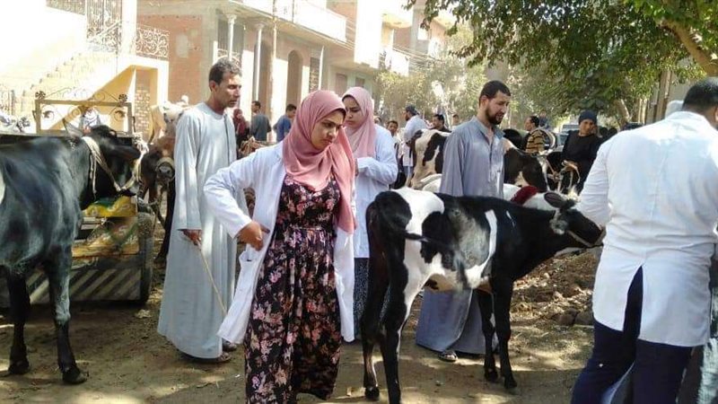 بيطري الشرقية"