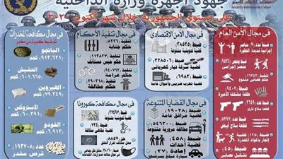 الداخلية: كشف غموض 214 حادث وتنفيذ 2 مليون حكمًا قضائيًا خلال شهر
