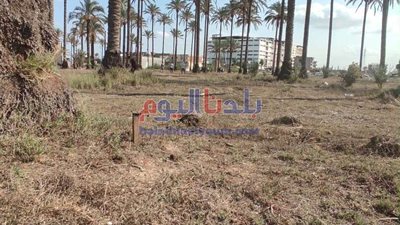 استرداد مساحة 25878 متر من أراضي أملاك الدولة بحوش عيسى.. صور