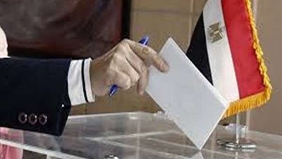 شركاء من أجل الشفافية: التجاوزات لا ترتقي للطعن في نزاهة الانتخابات (فيديو)