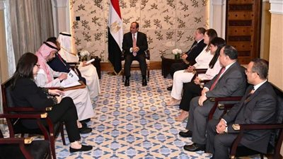 الرئيس السيسي يلتقي رئيس مجموعة البنك الإسلامي للتنمية