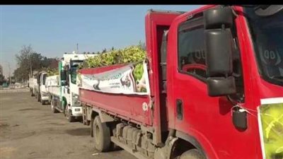 استلام الدفعة الثالثة من أشجار المبادرة الرئاسية 100 مليون شجرة بالإسماعيلية