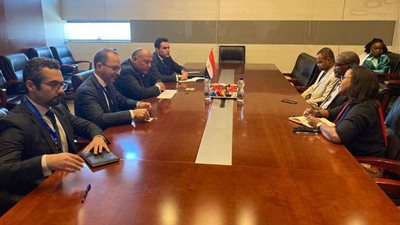 وزير الخارجية يلتقي وزير خارجية جزر القمر على هامش أعمال المجلس التنفيذي للاتحاد الإفريقي