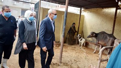 محافظ القليوبية يتفقد قافلة طبية بيطرية بقرية إمياي بطوخ