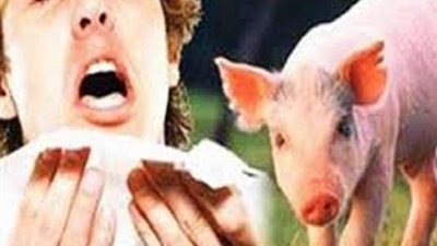 تسجيل أول إصابة بإنفلونزا الخنازير ورفع حالة الطوارئ في كندا