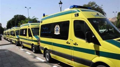 مصرع وإصابة 9 أشخاص في حادث تصادم سيارتين بالمنايف بالإسماعيلية