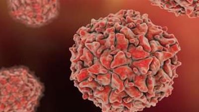 «الصحة»: إصدار الدليل الإرشادي لعلاج الحالات المصابة بفيروس ماربوج