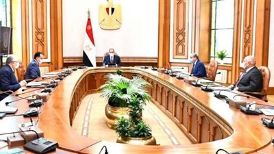 السيسي يوجه بالتوسع في المشروعات الزراعية بالوادي الجديد