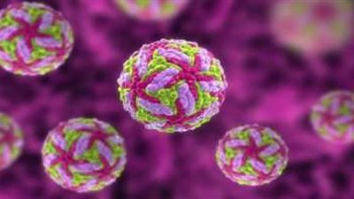 وزارة الصحة تعلن عن التعريف الدقيق للحالات المصابة والمشتبه فيها