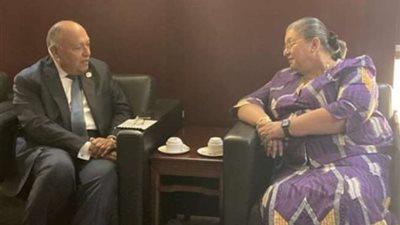 شكري يؤكد محددات الموقف المصري الثابت بالتوصل لاتفاق ملزم لملء وتشغيل سد النهضة