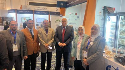 بحوث الصحراء يحصد ثلاث جوائز بمعرض القاهرة الدولي للابتكار