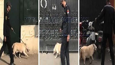 الإدارة العامة لمكافحة المخدرات تواصل حملاتها الأمنية بالمحافظات