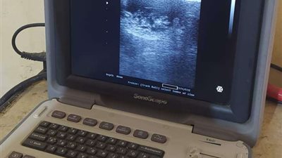 العيادات البيطرية تواصل أعمالها لتقديم خدمات يومية للمواطنين بالإسماعيلية