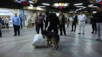 شرطة النقل والمواصلات تضبط 1899 قضية متنوعة