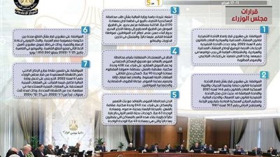 بالإنفوجراف|الحصاد الأسبوعي لمجلس الوزراء