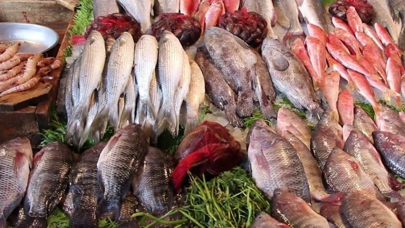 سعر السمك