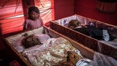 شاب مصري يتناول براز الحيوانات و دم الزواحف| شاهد