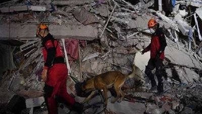 كلب ينقذ 7 أشخاص من تحت الأنقاض بتركيا