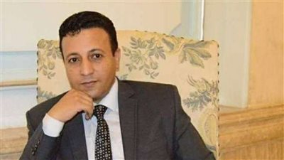 الغمري يدعو لرفض ميزانية الصحفيين في حال عدم الكشف عنها