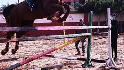 أحمد السقا يستعرض مهاراته في ركوب الخيل.. صور