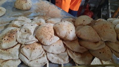 تموين الإسماعيلية تضبط كميات من الدقيق المدعم بالسوق السوداء