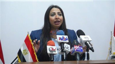 6 نقاط..  البيان الختامى لتنسيقية شباب الأحزاب عن متابعة الانتخابات