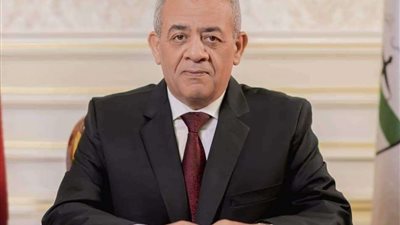 عاجل.. وفاة رئيس نادى قضاة مجلس الدولة