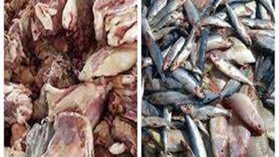 مصادرة 44 كيلو لحوم وأسماك غير صالحة للاستهلاك بالغربية