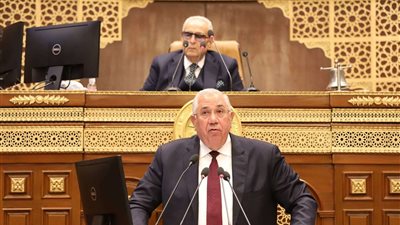 القصير خلال كلمته بمجلس الشيوخ: هناك توجيهات لقيادات الوزارة بالتعاون مع البرلمان لتلاحم السلطات