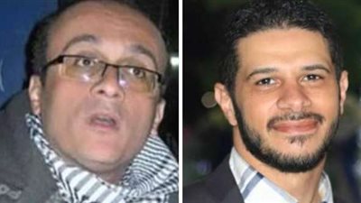 رشوان يتقدم بالشكر للرئيس السيسي للإفراج عن الصحفيين المحتجزين