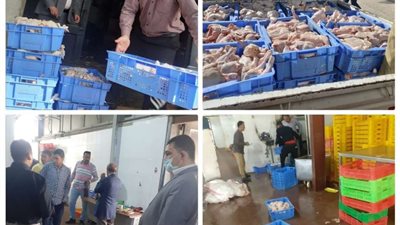 ضبط 12 طن لحوم فراخ غير صالحة للاستهلاك الآدمي بأسيوط