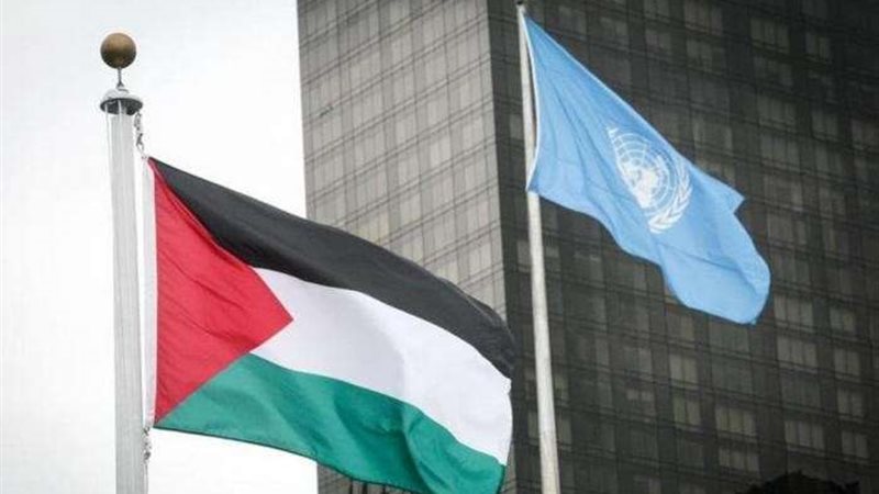 فلسطين والأمم المتحدة