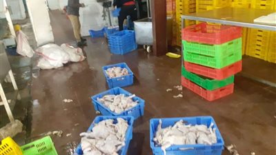 5 طن لحوم فاسدة.. الداخلية تواصل حملاتها التموينية لضبط الأسواق