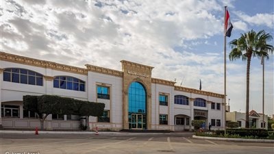 ميناء دمياط تستقبل  21 سفينة خلال 24 ساعة ماضية