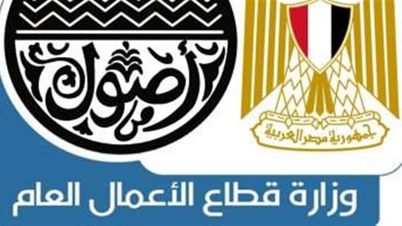 شركات قطاع الأعمال
