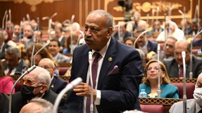 العسال: كلمة الرئيس السيسي عكست الإصرار على تدشين مرحلة تعمير أرض الفيزور