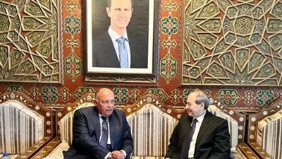 شكري: مستعدون لتوفير موارد الدعم الإنساني لمؤازرة أشقائنا في سوريا