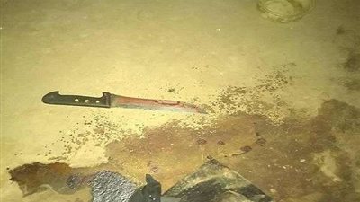 دفن جثتي زوجته وصديقه.. التفاصيل الكاملة لـ جرائم سفاح العاشيقات بالجيزة