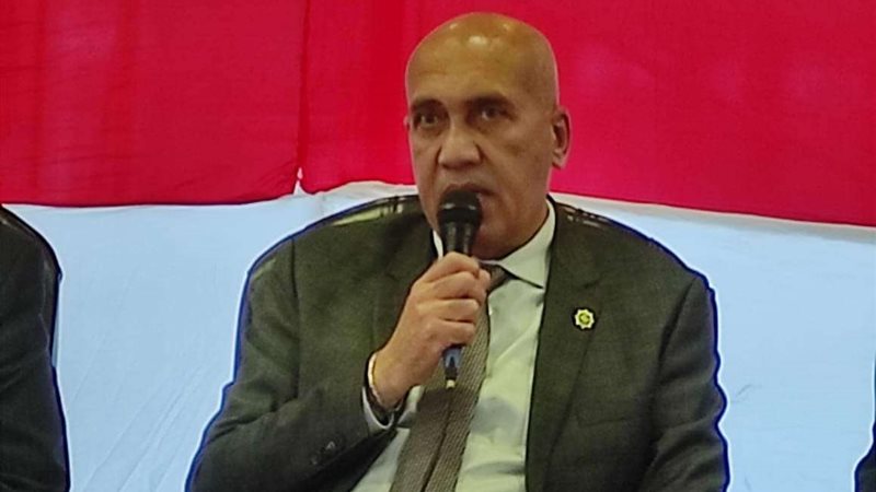 المهندس ضياء الكيكى