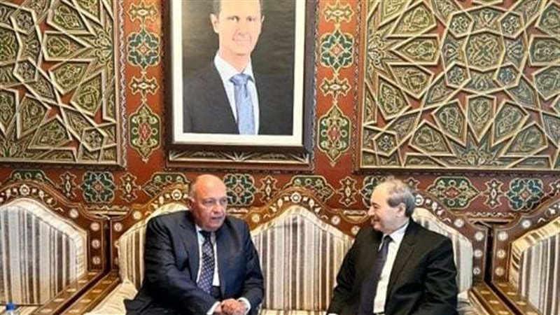 سامح شكري وزير الخارجية