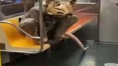 شاهد.. رجل يتنكر في زى فأر