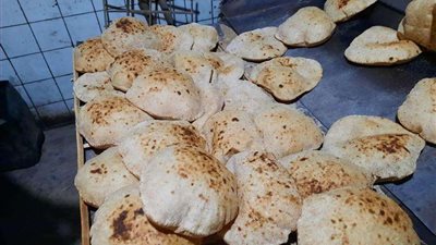 «تموين الإسماعيلية»: ضبط منتجات منتهية الصلاحية خلال حملة تموينية