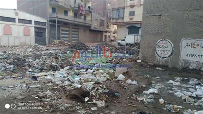مياه الصرف الصحى تحاصر منازل شارع أحمد شفيق بالمحلة (صور)