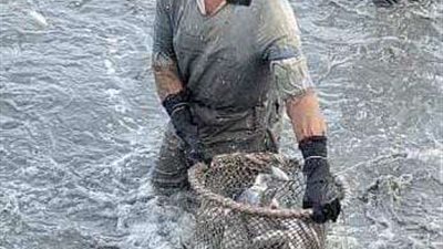 مسؤل الثروة السمكية بالشرقية: المزارع تخضع للإشراف للتأكد من صلاحيتها