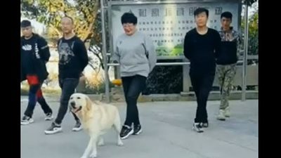 كلب يظهر قدرات خارقة في تعلم الرقصات (فيديو)