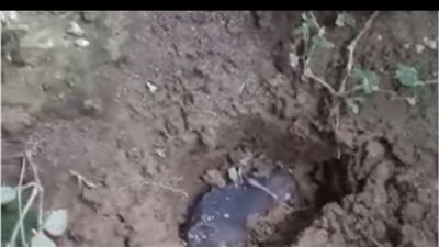 في أقل من 24 ساعة.. رجل يتحول إلي مليونير