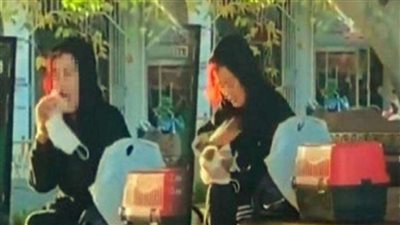 بعد عضها فأر..فتاة تركية تتعرض للغرامة