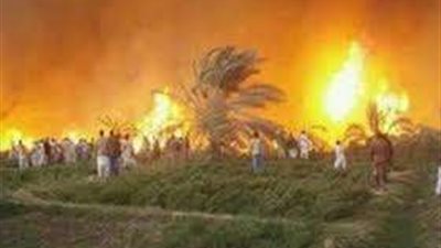 السيطرة على حريق بمزرعة نخيل بالواحات البحرية