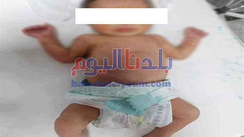 بلدنا اليوم