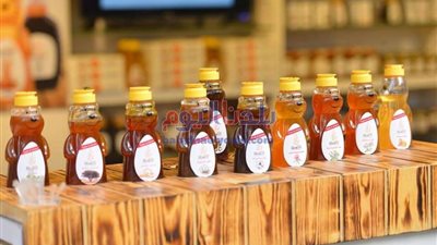 انطلاق فعاليات مهرجان العسل المصرى.. وأسرة محمد رمضان تساند شقيقته (صور)